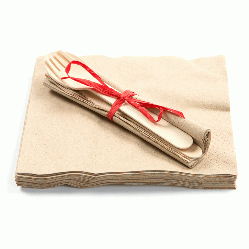 Eco friendly Recycled Napkins