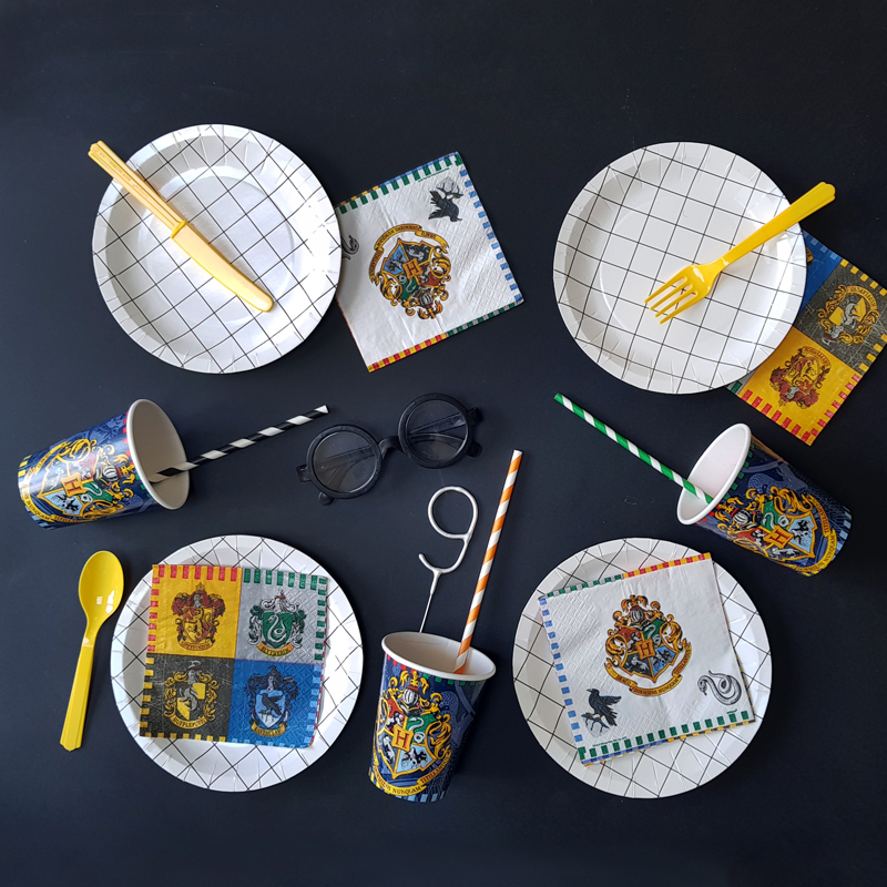 Harry the wizard party kit