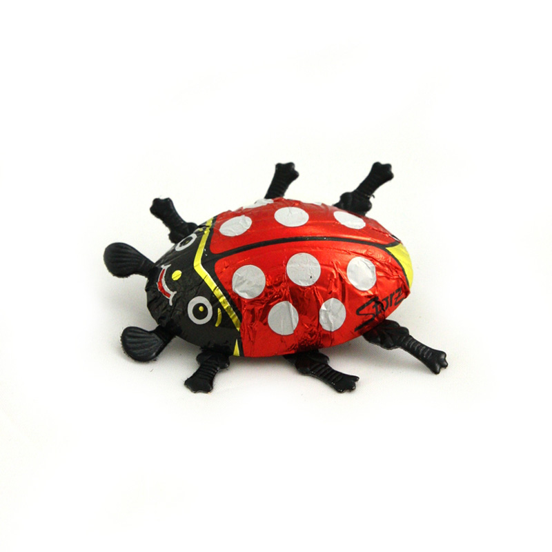 chocolate ladybird